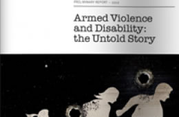 Armed Violence And Disability Research