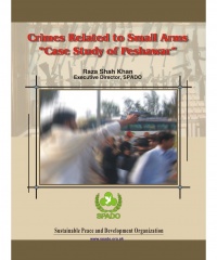 Crimes Related to Small Arms Title page