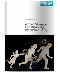 Armed Violence And Disability